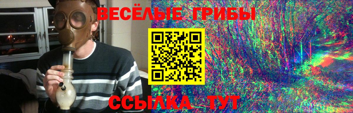 Строитель  Псилоцибиновые грибы Psilocybine cubensis  купить закладку  Галлюциногенные грибы Magic Shrooms  Вход с VPN 